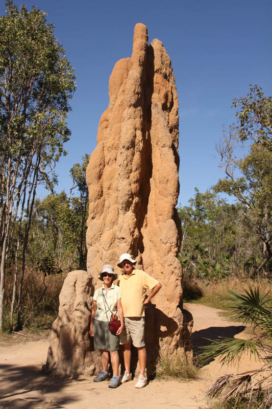 Cathedral termite mound - Litchfield National Park, NT (2)