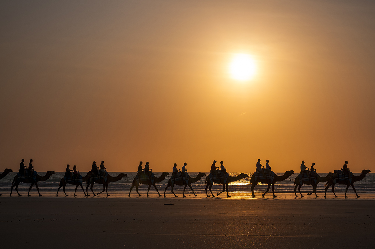 People-riding-camels-in-a-caravan-line-in-Broome