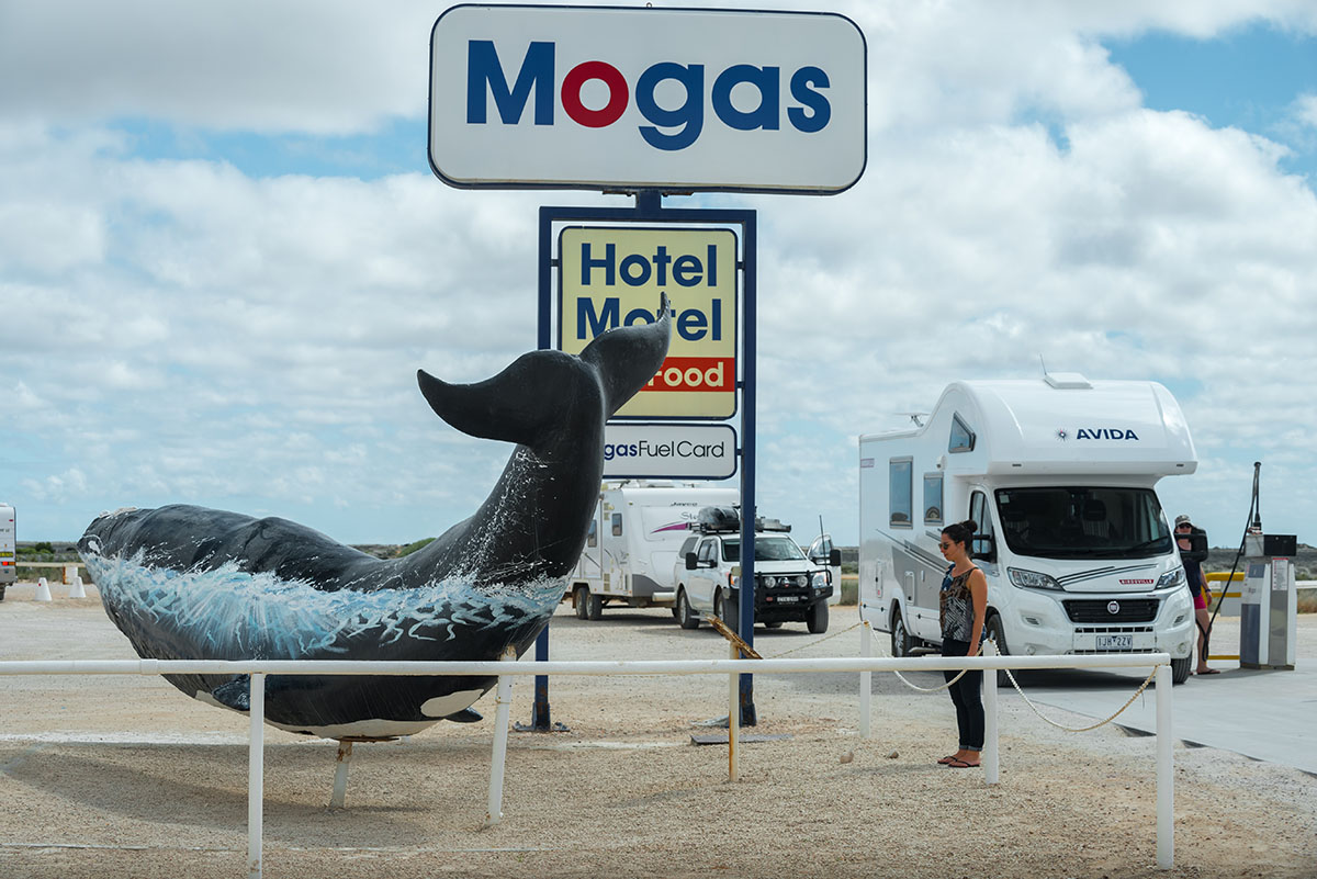 The-Big-Whale-in-Nullarbor-SA