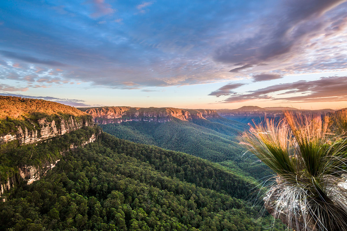 Blue-Mountains-National-Park-NSW-Australia
