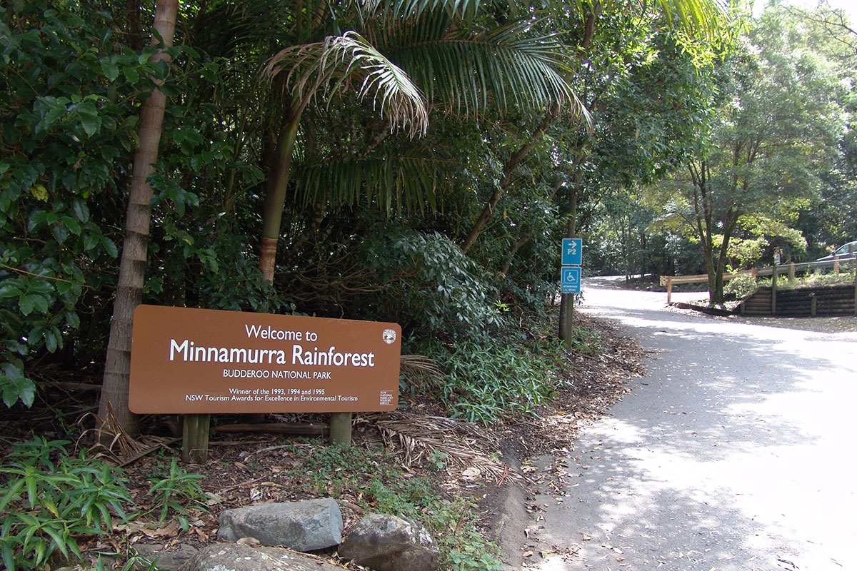 Minnamurra-Rainforest-Budderoo-National-Park-NSW-Australia