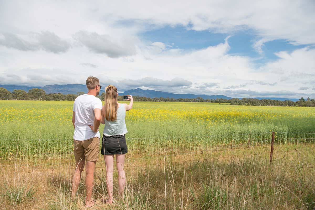 Couple-taking-photos-at-Lavender-Field