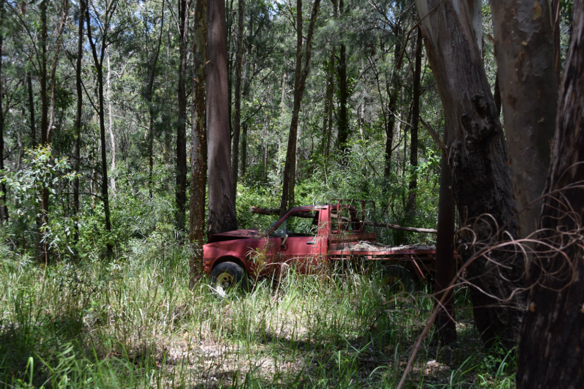 Abandoned-car-at-a-forest